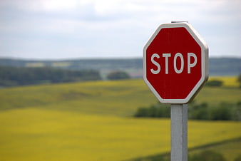 Red Stop Sign Against Blurred Yellow Field Background