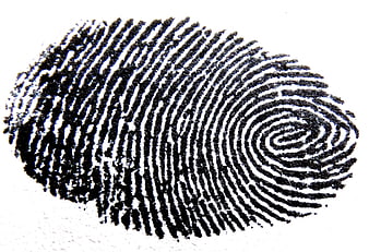 Black ink fingerprint on white paper background
