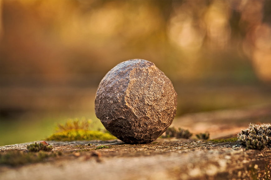 Close-up of textured brown stone on mossy wood