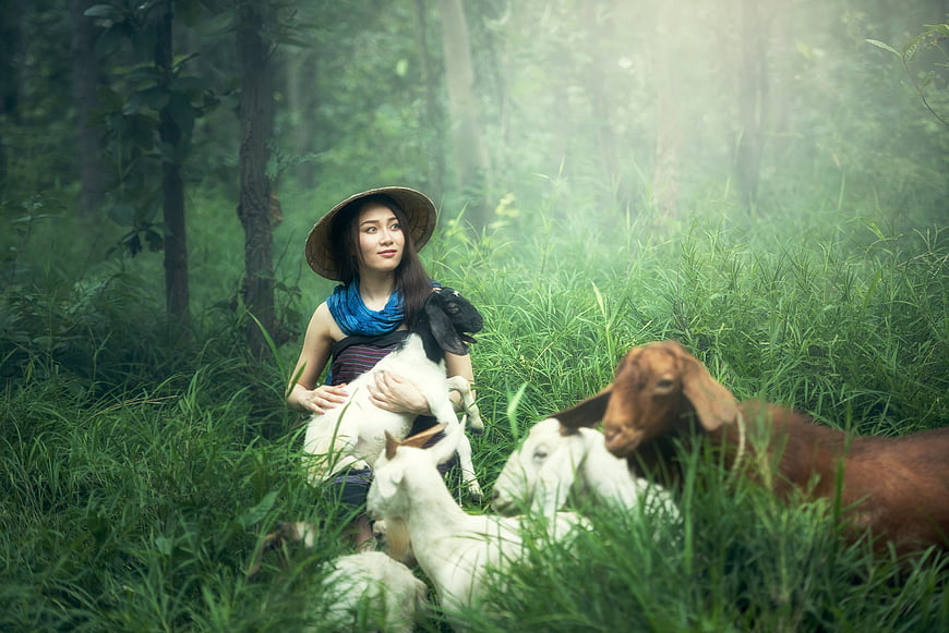 Woman in Conical Hat Holding Goat in Misty Forest