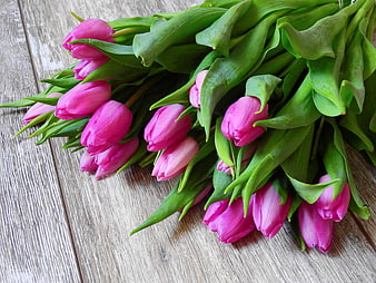 Pink Tulip Bouquet on Rustic Wood