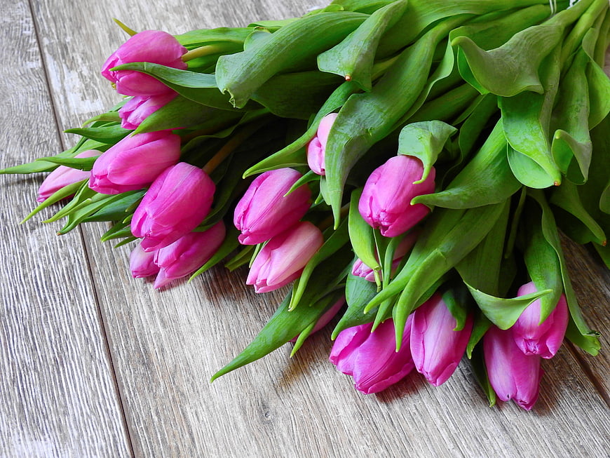 Pink Tulip Bouquet on Rustic Wood