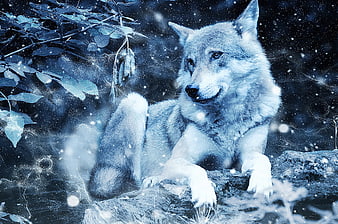 Artistic Blue Wolf in Snowy Forest with Vintage Texture