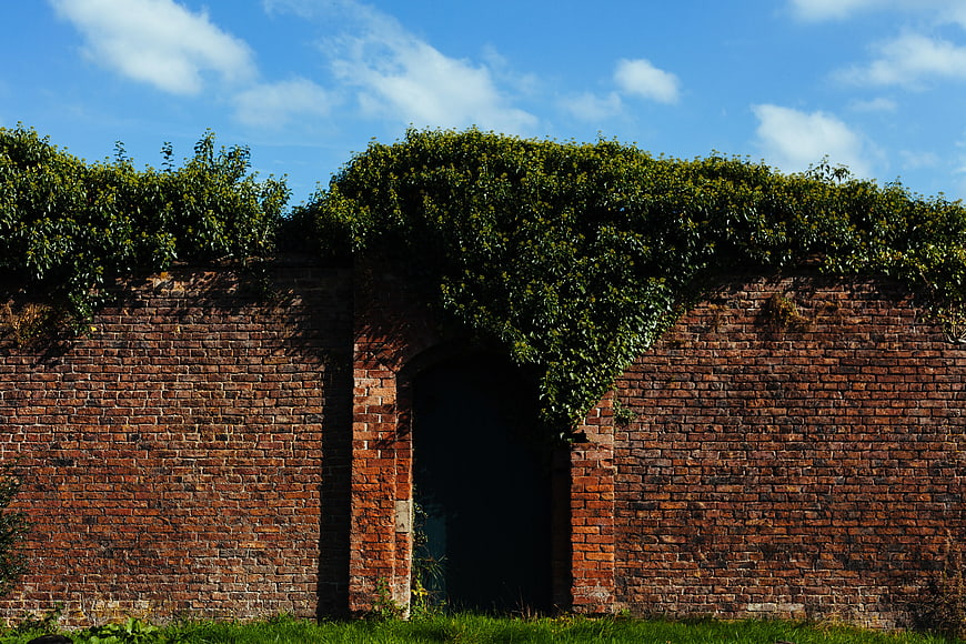 Old Brick Wall with Ivy and Arched Doorway