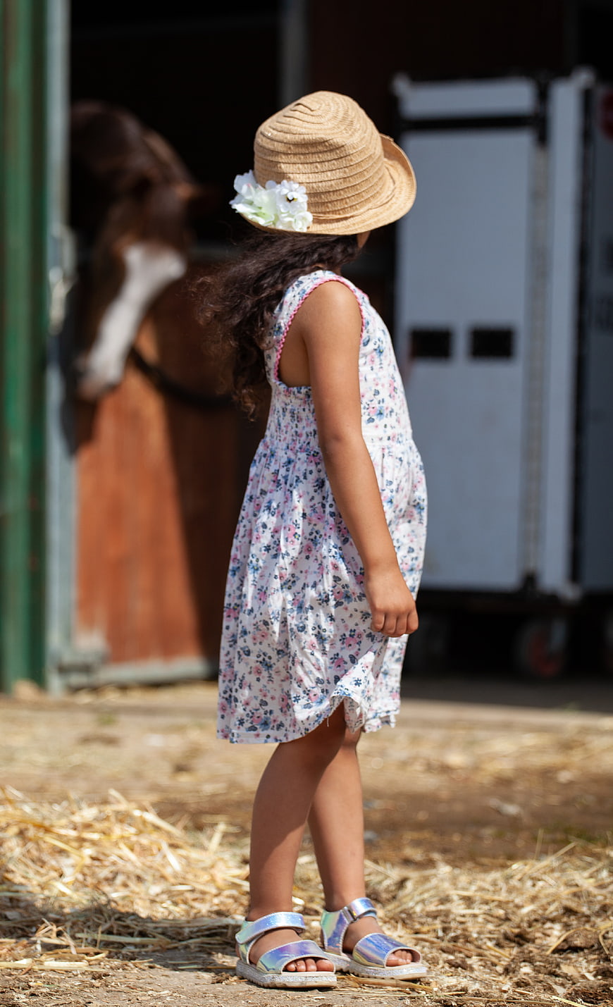 Little Girl in Straw Hat Looking at Horse in Stable
