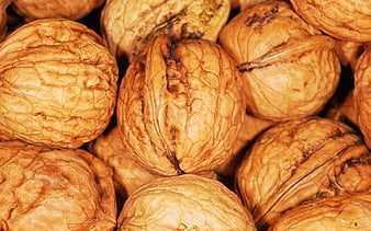 Close-up of whole walnuts in shell with detailed texture