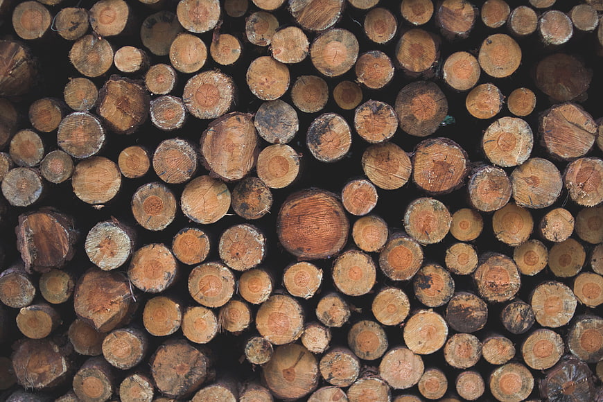 Stacked cut wood logs texture background