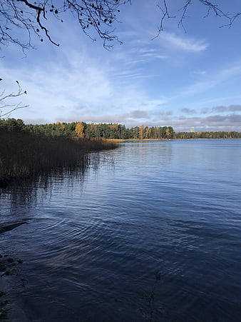 Serene Lake Landscape with Autumn Trees and Blue Sky
