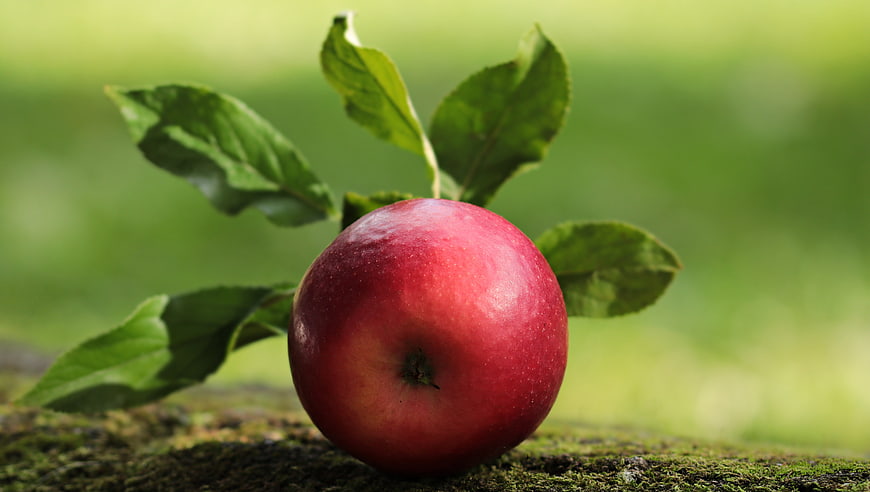 Fresh Red Apple with Leaves on Mossy Surface