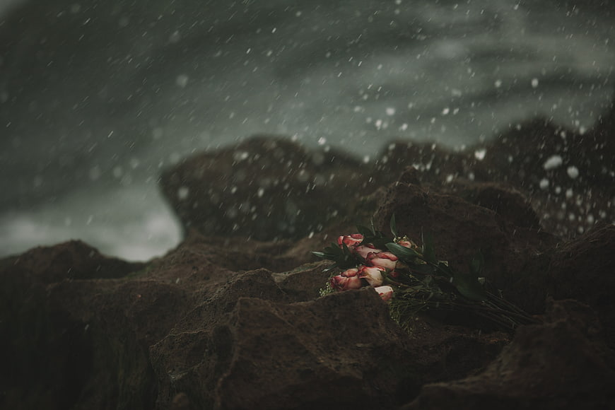 Bouquet of roses on rocks in the rain