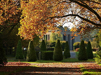 Autumn park path with golden leaves and classical architecture