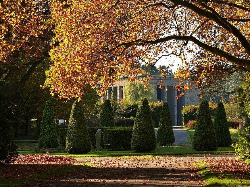 Autumn park path with golden leaves and classical architecture