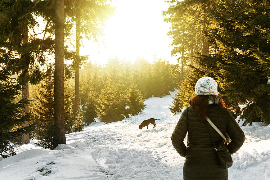 Woman Walking Dog in Snowy Forest at Golden Hour