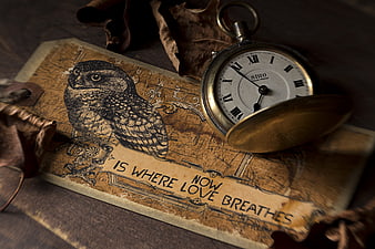 Vintage pocket watch on old paper with owl illustration
