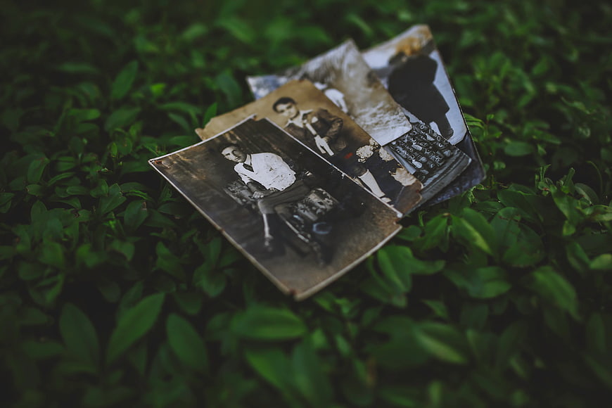 Vintage black and white photographs on green grass