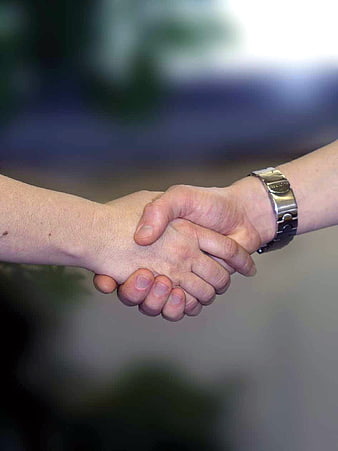 Close-up of two hands shaking in agreement