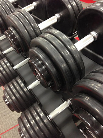 Close-up of black rubber dumbbells on a gym rack