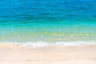 Tropical Beach with Turquoise Water and White Sand