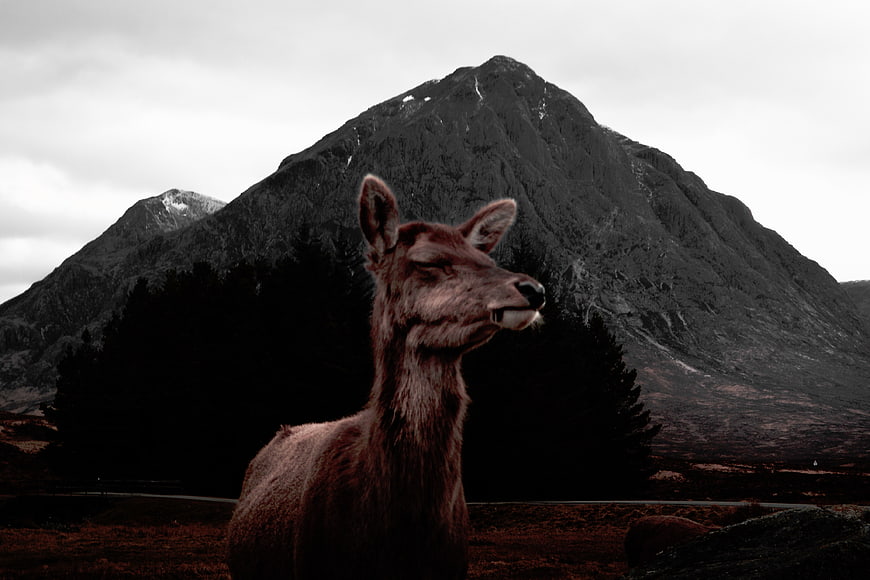 Deer Portrait Against Dramatic Mountain Landscape