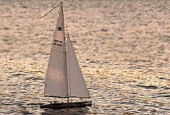 Remote Control Sailboat on Golden Sunset Water
