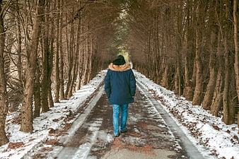 Person walking away on snowy forest road in winter