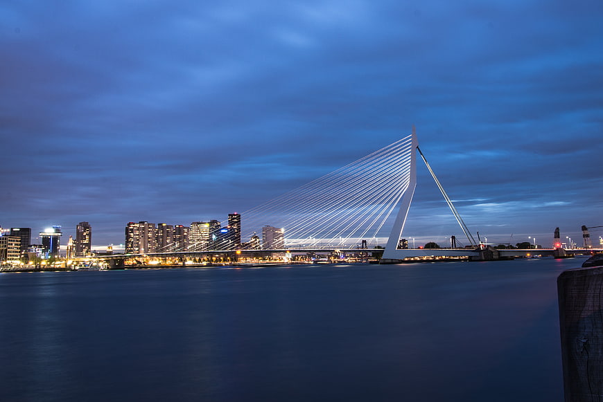 Rotterdam Erasmus Bridge at Blue Hour