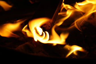 Close-up of burning wood with bright yellow flames