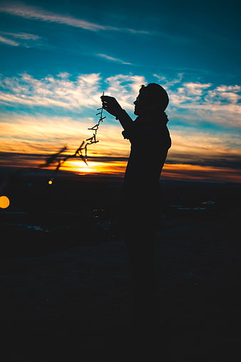 Silhouette of Man Holding Christmas Lights at Sunset