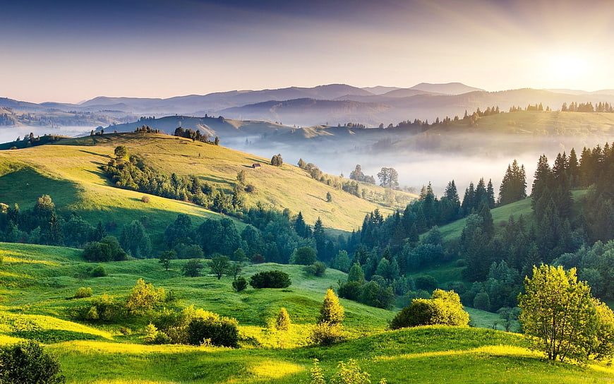 Misty Green Hills at Sunrise with Rolling Landscape