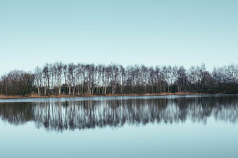 Serene Lake with Tree Reflections in Autumn Landscape
