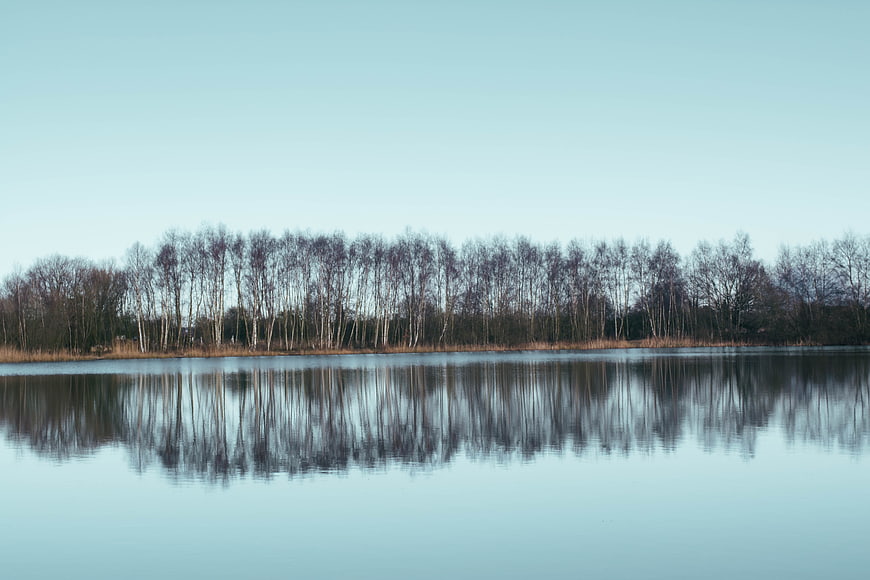 Serene Lake with Tree Reflections in Autumn Landscape