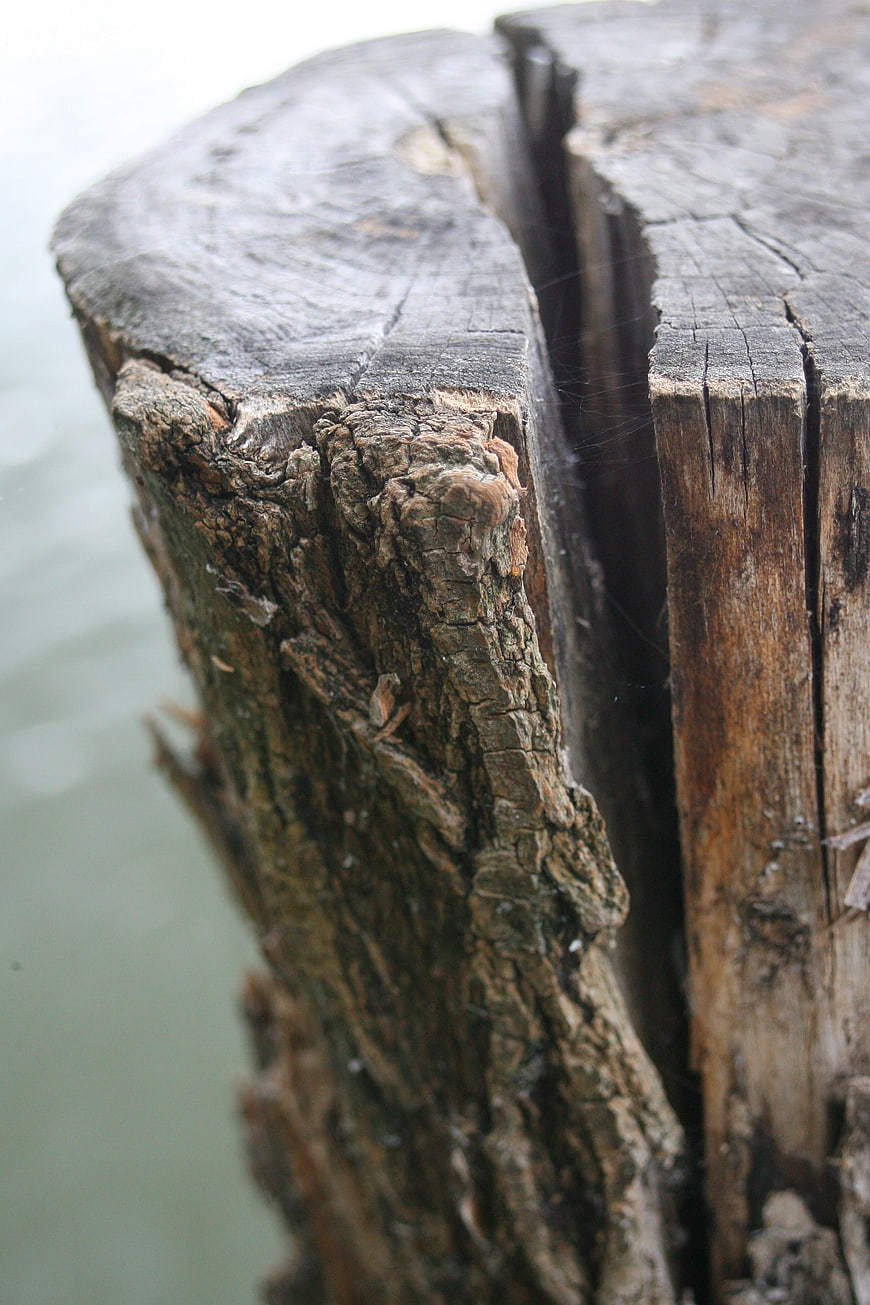 Close-up of weathered wooden post with deep cracks and bark texture