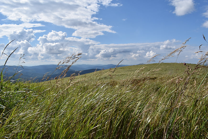 Windy grassy mountain meadow with blue sky and clouds