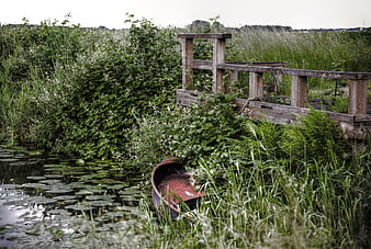 Abandoned red boat hidden in overgrown marsh vegetation