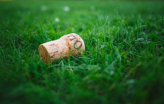 Wine Cork Lying in Green Grass