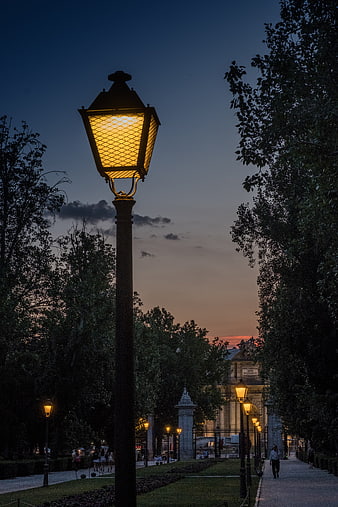 Vintage Street Lamp Illuminated at Dusk in Parisian Park