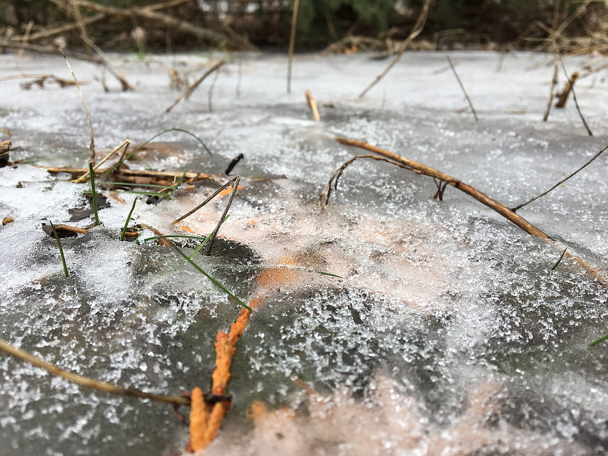 Close-up of frozen ice with twigs and grass in winter