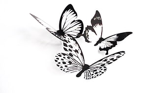 Black and white paper butterfly cutouts on white background