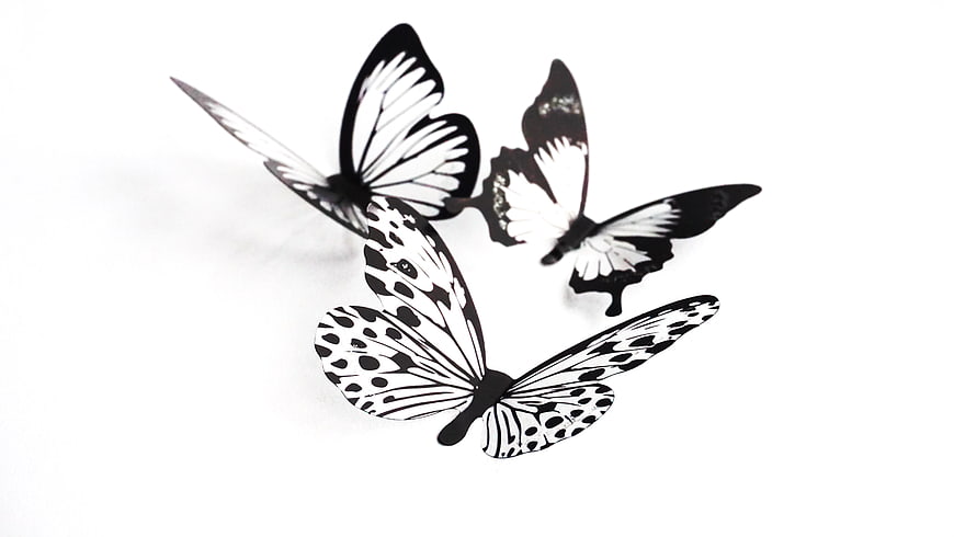 Black and white paper butterfly cutouts on white background