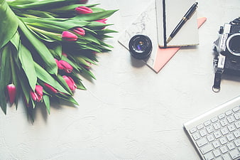 Pink Tulips and Vintage Camera Flat Lay on White Desk