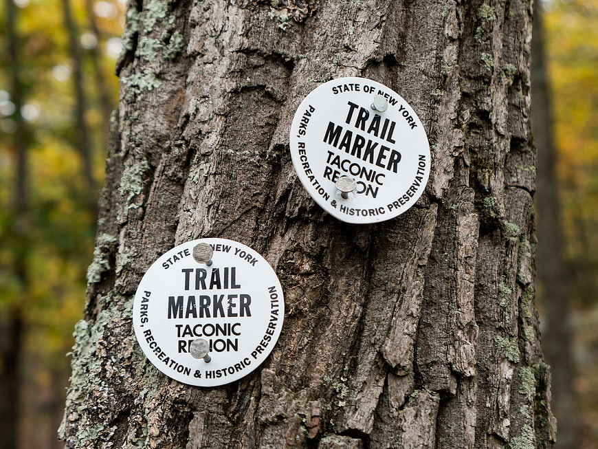 White Taconic Region Trail Markers on Tree Bark