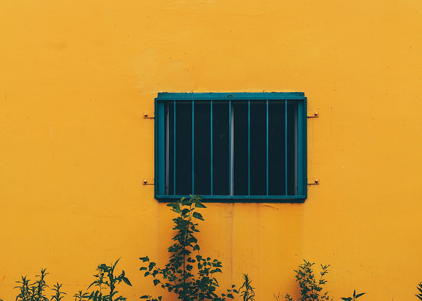 Blue barred window on vibrant yellow wall with plants