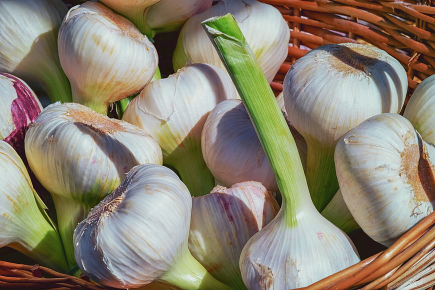 Fresh Garlic Bulbs In Wicker Basket Close Up