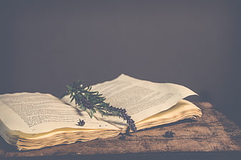 Vintage Open Book with Lavender on Rustic Wood