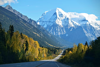 Autumn Road Leading to Snow-Capped Mountain Peak