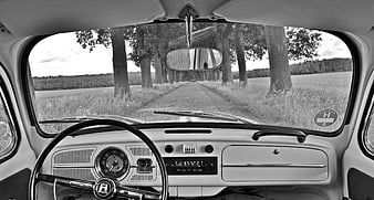 Vintage VW Beetle Interior Driving Down Tree-Lined Road
