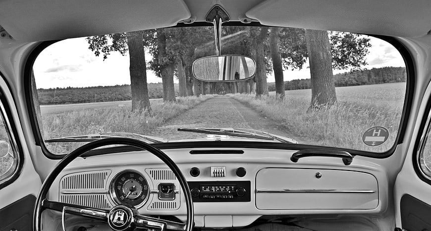 Vintage VW Beetle Interior Driving Down Tree-Lined Road