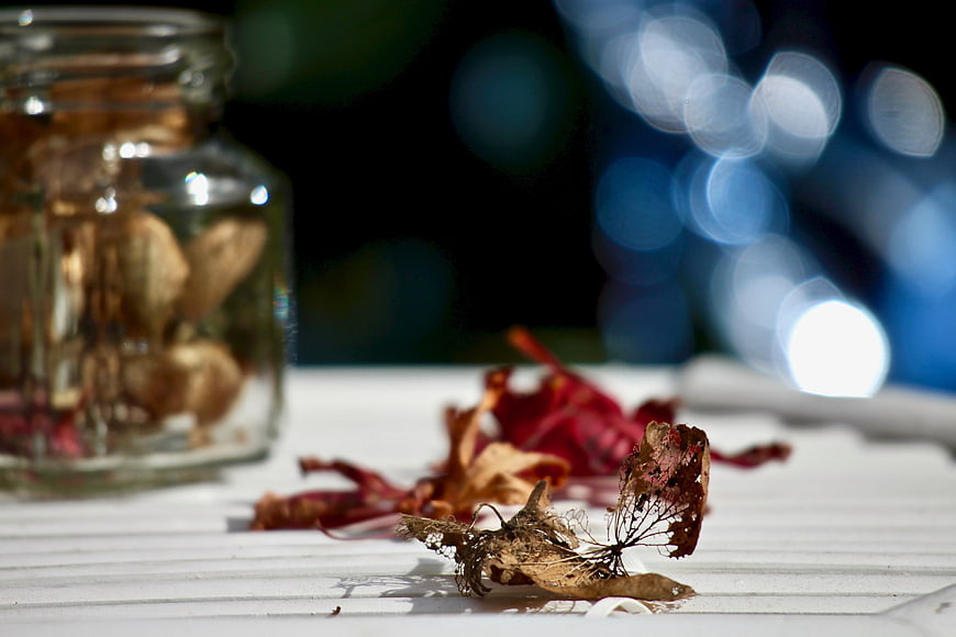 Dried autumn leaves and jar on white surface with bokeh