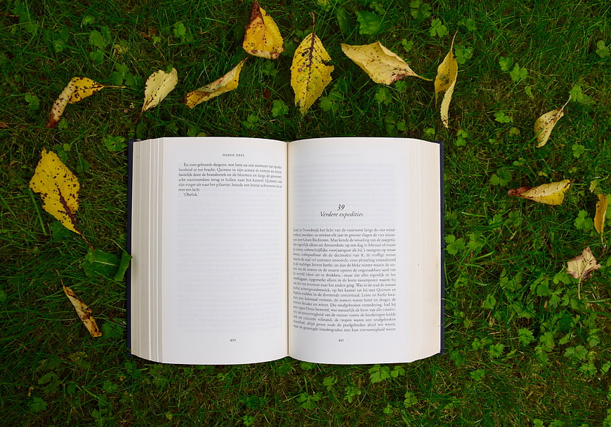 Open book on grass with autumn leaves