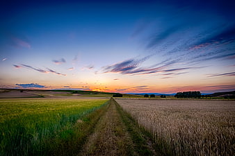 Sunset over rolling fields with dirt path and dramatic sky